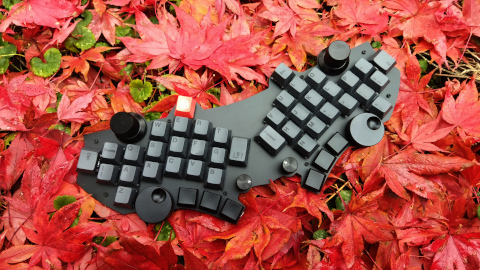 Pic: Azimuth enjoying autumn